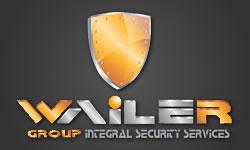 Diseño de Página Web para Wailer Group